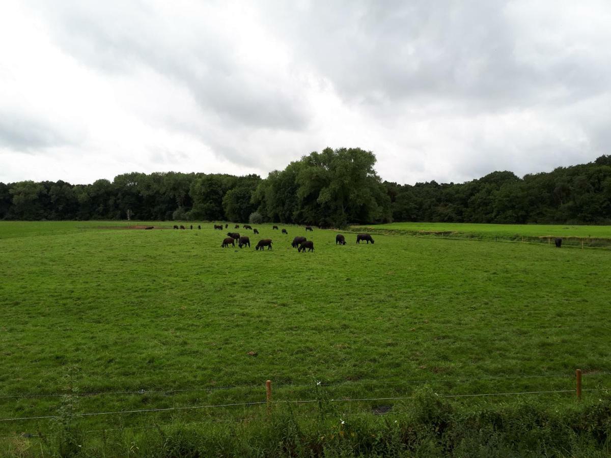 Gastenverblijf 'T Nagtegaeltje Sint-Oedenrode Eksteriør bilde